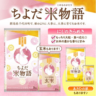 【6ヶ月定期便】にじのきらめき 5kg×2袋(精米)【1月発送】ch049-007-t6-01