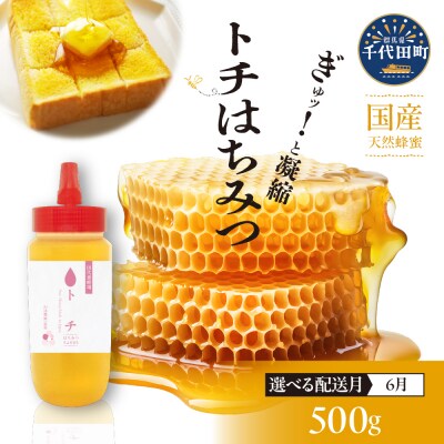 【6月発送】はちみつ【千代田町の蜂蜜】500g「とち」はちみつ ch011-006-6r