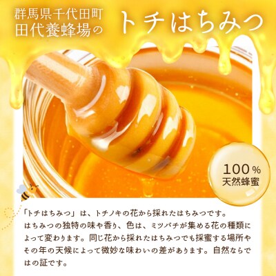 【6月発送】はちみつ【千代田町の蜂蜜】500g「とち」はちみつ ch011-006-6r