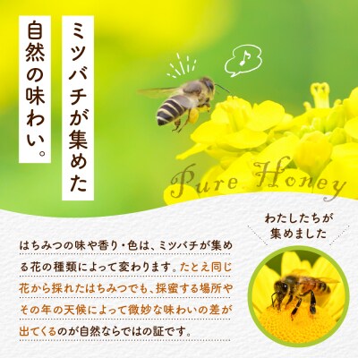 【6月発送】はちみつ【千代田町の蜂蜜】500g「とち」はちみつ ch011-006-6r