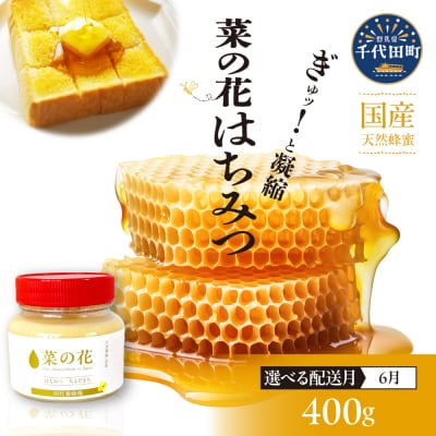 【6月発送】はちみつ 【千代田町の蜂蜜】400g 「菜の花」はちみつ ch011-007-6