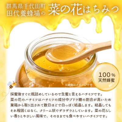 【6月発送】はちみつ 【千代田町の蜂蜜】400g 「菜の花」はちみつ ch011-007-6