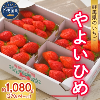《先行受付》3月発送 いちご「やよいひめ」約270g×4パック 常温便 ch002-008-3-nt