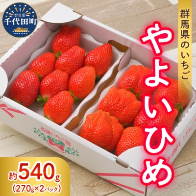《先行受付》3月発送 いちご「やよいひめ」約270g×2パック 常温便 ch002-007-3-nt