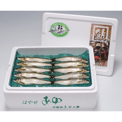 【宮城鮎工房】宮城県加美町産　厳選「はやせ鮎」活き〆500g・一夜干し5枚セット