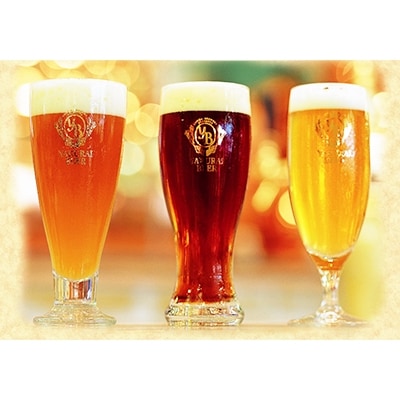 【本場ドイツ仕込み】やくらいクラフトビール 6本ギフト(3種×330ml 各2本)