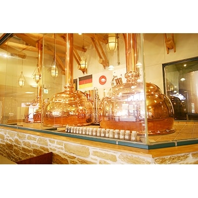 【本場ドイツ仕込み】やくらいクラフトビール 6本ギフト(3種×330ml 各2本)