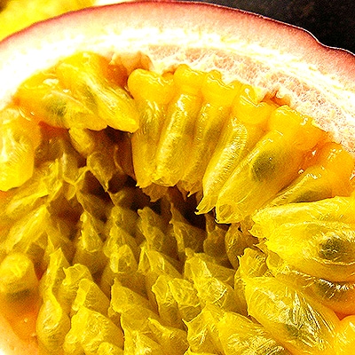 パッションフルーツ果実2kg(20玉~24玉)ギフト用