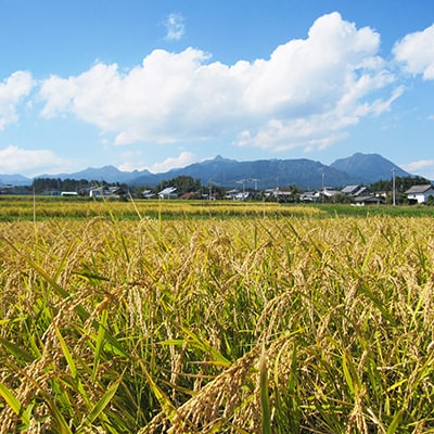 【平成29年度産新米】榛東村産コシヒカリ　20kg ［群馬県榛東村］寄付金額15,000円