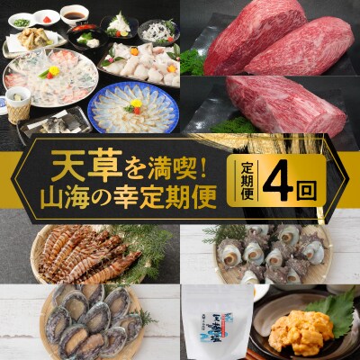 【定期便4回】天草を満喫!山海の幸定期便_S999-T12