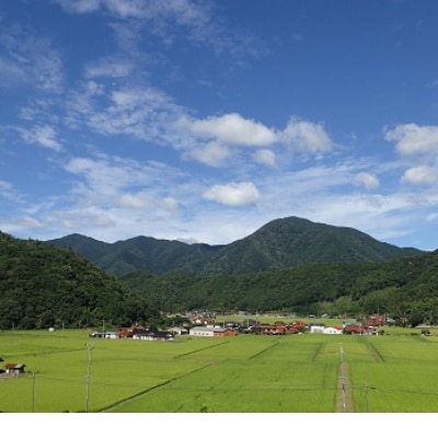 令和3年産 注連川の糧「きぬむすめ」3kg