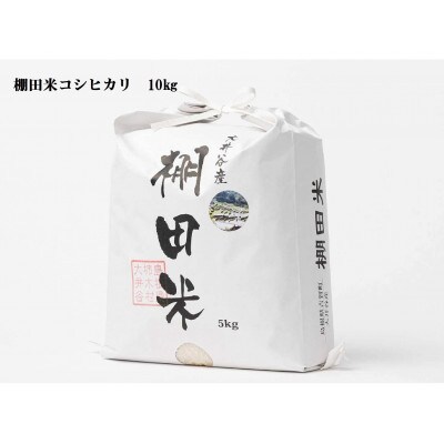 令和4年産 棚田米コシヒカリ精米10kg