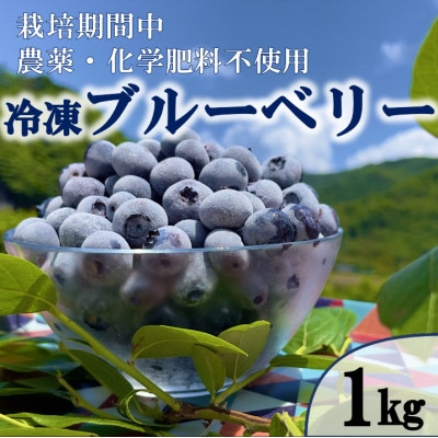 栽培期間中農薬・化学肥料不使用　吉賀町産冷凍ブルーベリー　1kg