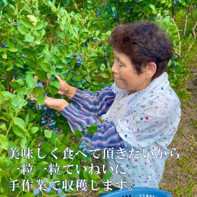 栽培期間中農薬・化学肥料不使用　吉賀町産冷凍ブルーベリー　1kg