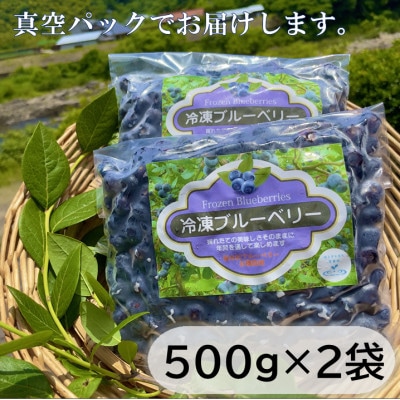 栽培期間中農薬・化学肥料不使用　吉賀町産冷凍ブルーベリー　1kg