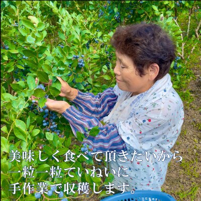 栽培期間中農薬・化学肥料不使用　吉賀町産冷凍ブルーベリー　2kg
