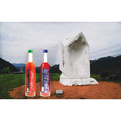 吉賀の里 トマト&ブルーベリーの恵み 500ml 2本セット