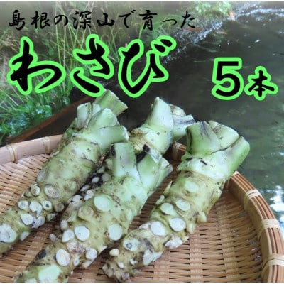 根わさび 5本(真空パック入り)
