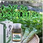 根わさび、わさび漬けセット