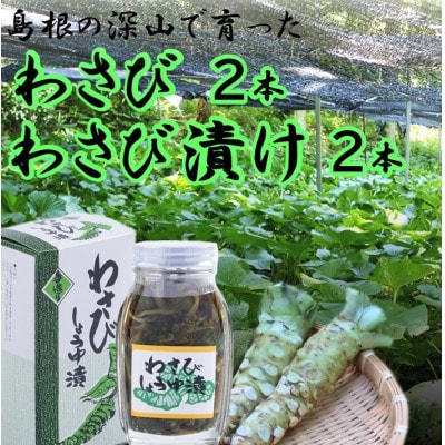 根わさび、わさび漬けセット