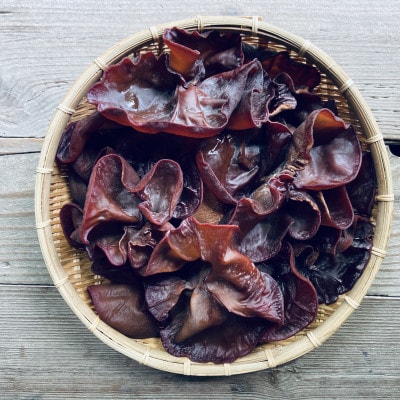 吉賀町かわの農園の新鮮生きくらげ500g