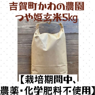 吉賀町かわの農園　つや姫玄米5kg【栽培期間中、農薬・化学肥料不使用】