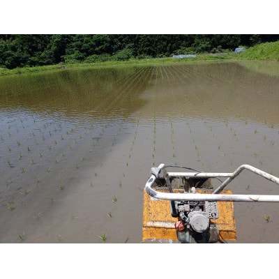 吉賀町かわの農園　つや姫玄米5kg【栽培期間中、農薬・化学肥料不使用】