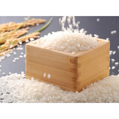 コシヒカリ精米10kg(5kg×2袋 令和3年吉賀町産)
