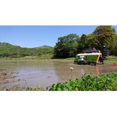 【令和7年10月中旬より順次発送】令和7年産コシヒカリ精米5kg(吉賀町産)(吉賀町)