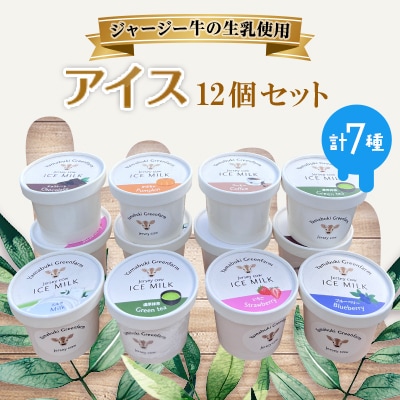 ジャージー牛の生乳を使用したアイス12個セット