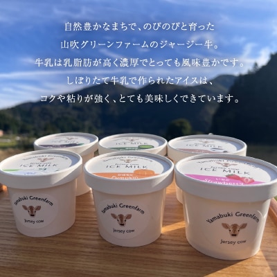 ジャージー牛の生乳を使用したアイス12個セット