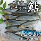 高津川天然あゆ冷凍　1200g(吉賀町)