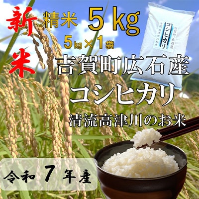 令和7年産　吉賀町広石産コシヒカリ　清流高津川のお米　精米5kg