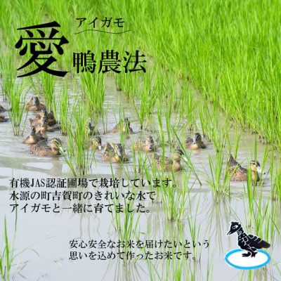 【有機米】令和7年産　吉賀町産つや姫「鴨ん米米」　精米10kg