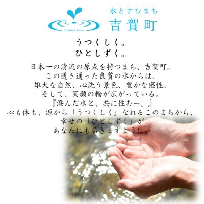 【返礼品なし】島根県吉賀町へ応援寄附　寄付のみ　吉賀町応援(10,000円)