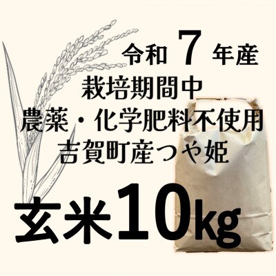 【令和7年産】栽培期間中、農薬・化学肥料不使用　吉賀町産つや姫　玄米10kg