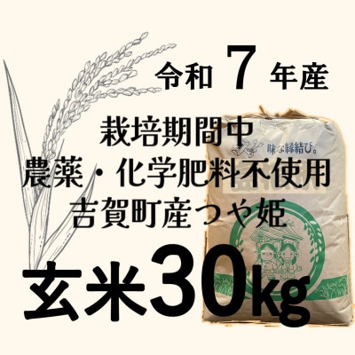 【令和7年産】栽培期間中、農薬・化学肥料不使用　吉賀町産つや姫　玄米30kg