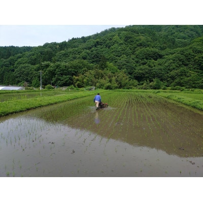 【令和7年産】栽培期間中、農薬・化学肥料不使用　吉賀町産つや姫　玄米30kg