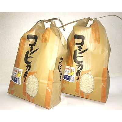 【須賀川産】令和元年産・福島コシヒカリ8kg(4kg×2袋)