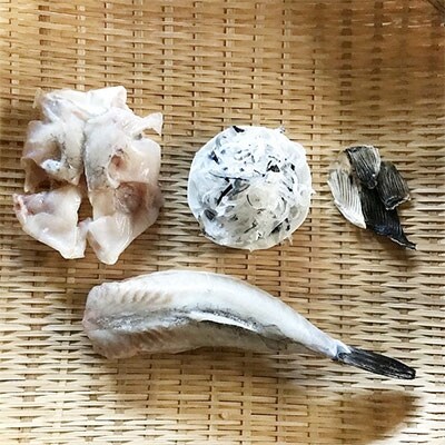 遠州灘産天然とらふぐ　身欠き(本体1.3kg～/身欠き約0.8kg)