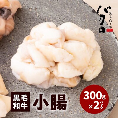 黒毛和牛小腸(ホルモン)300g入り×2パック　K130-002