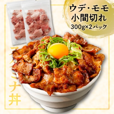 【ナンチクファクトリー】豚肉バラエティーセット 計1.6kg(A1)　K073-001