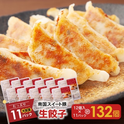 南国スイート豚と国産キャベツの生餃子!計132個　K208-006