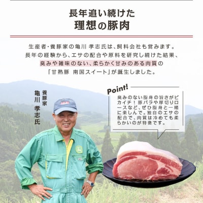 南国スイート豚と国産キャベツの生餃子!計132個　K208-006
