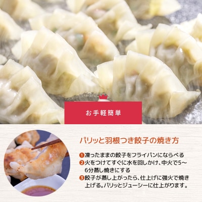 南国スイート豚と国産キャベツの生餃子!計132個　K208-006