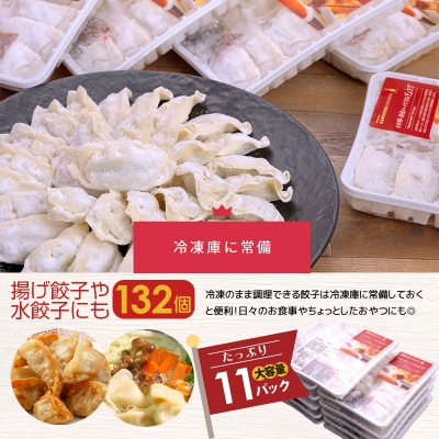 南国スイート豚と国産キャベツの生餃子!計132個　K208-006