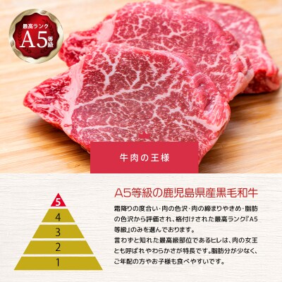 A5等級黒毛和牛ヒレステーキ2種盛り～サイコロ&ステーキ～　K208-012