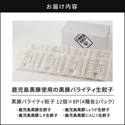 鹿児島黒豚使用の黒豚バラエティ生餃子　K202-002
