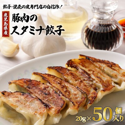 餃子・焼売の皮専門店の自信作!鹿児島県産豚肉のスタミナ餃子　K033-003