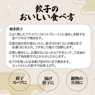 餃子・焼売の皮専門店の自信作!鹿児島県産豚肉のスタミナ餃子　K033-003